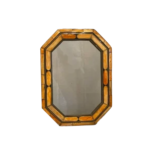 Bone mirror Bone mirror